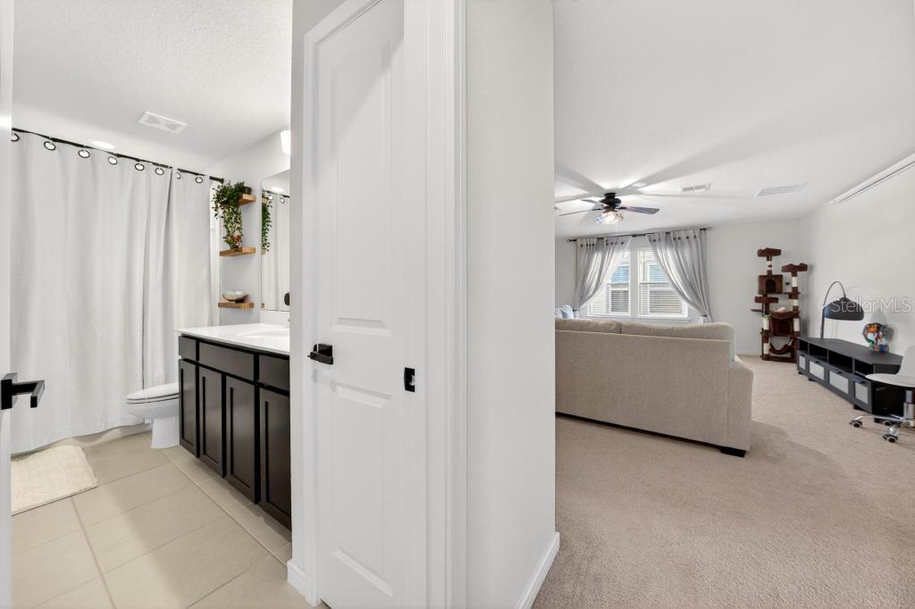 1631 GROVELINE RD, ST CLOUD, FL, 34771