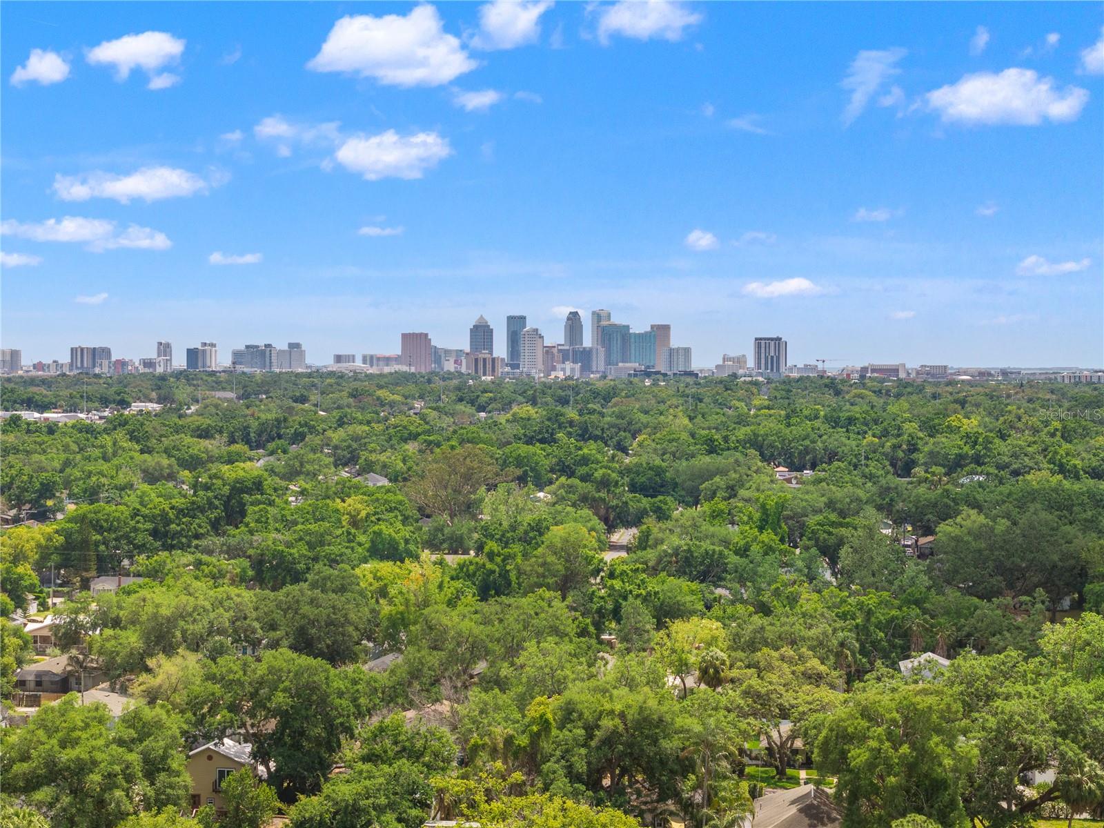 324 W HAYA ST, TAMPA, FL, 33603