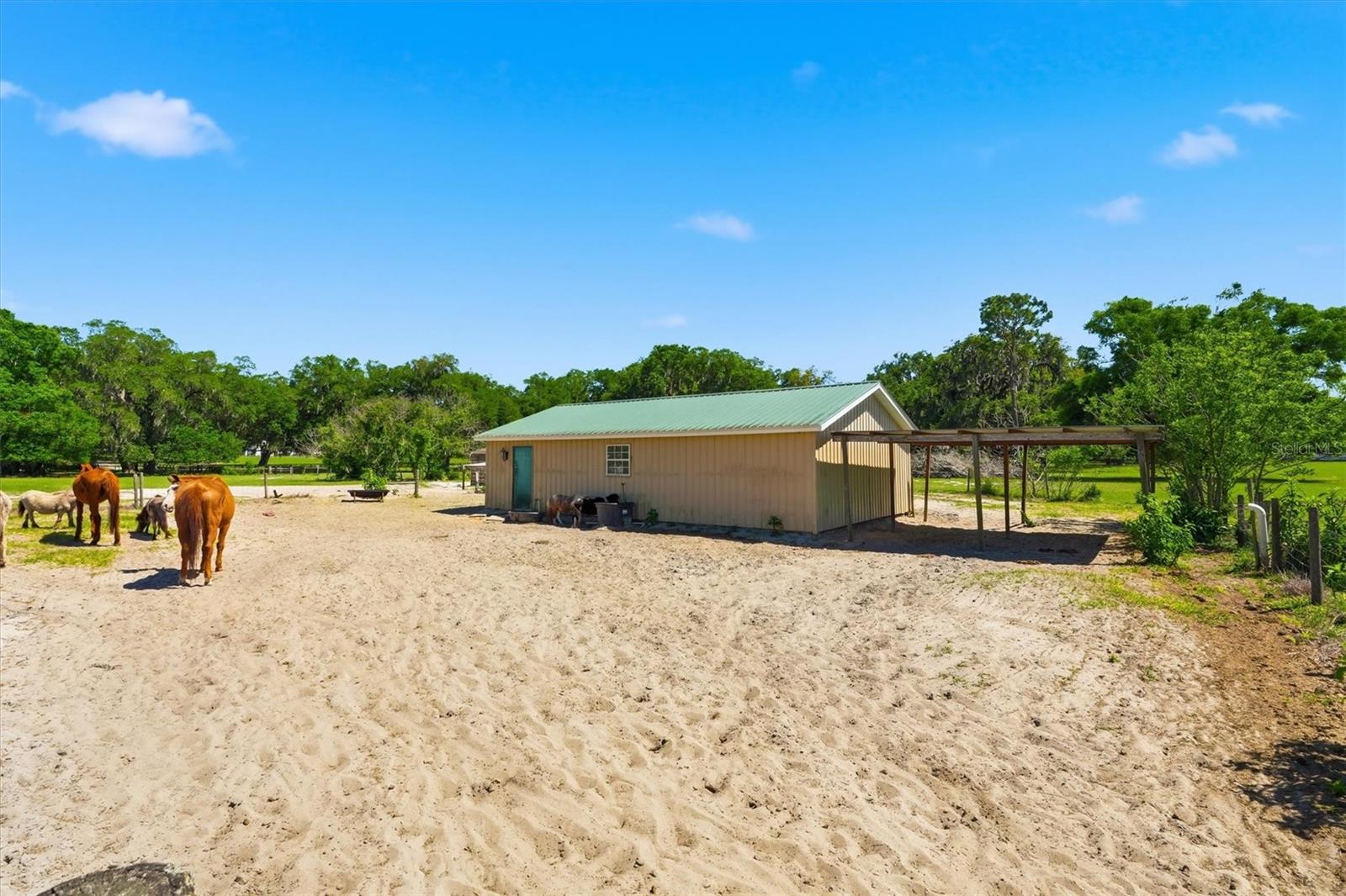 12764 COUNTY ROAD 223, OXFORD, FL, 34484