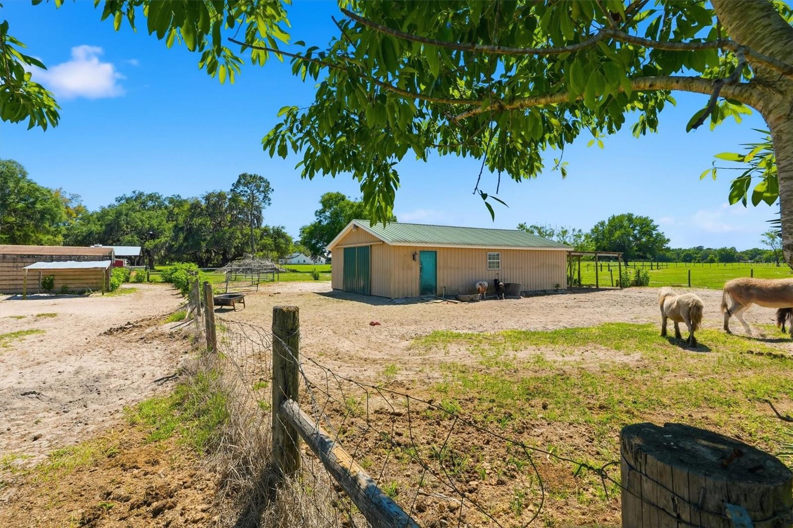 12764 COUNTY ROAD 223, OXFORD, FL, 34484