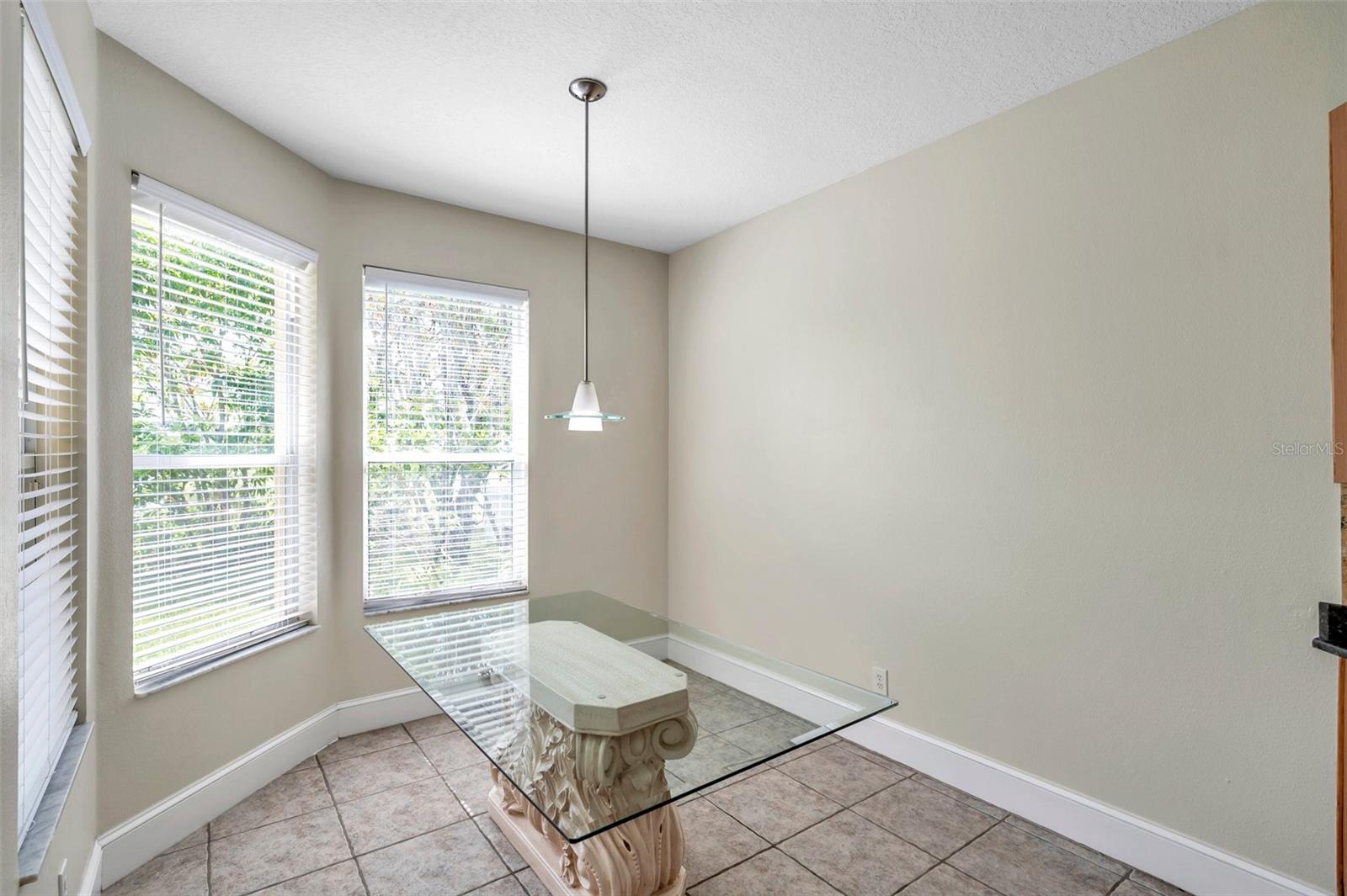 1915 FRUITRIDGE ST, BRANDON, FL, 33510