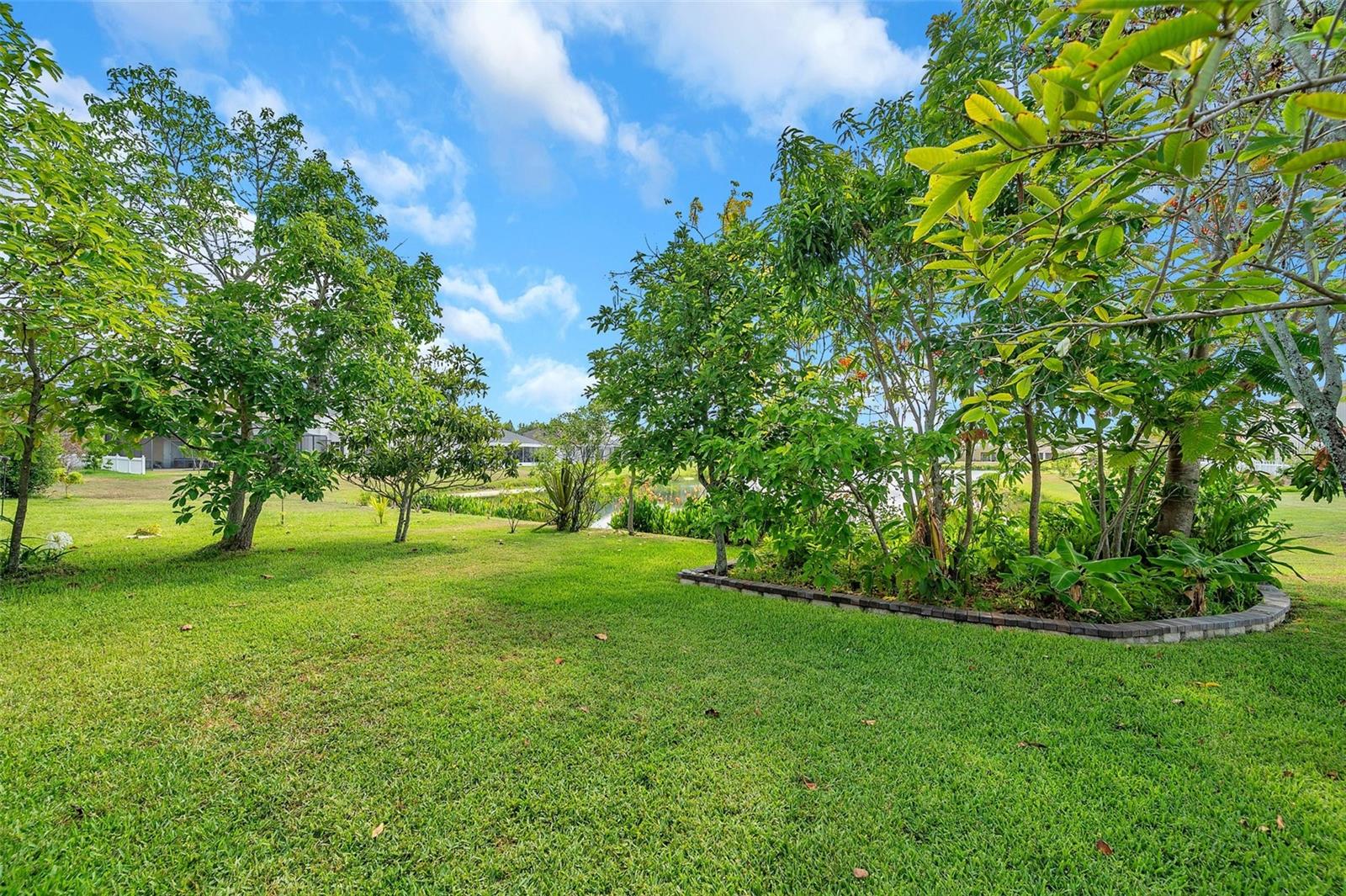 1915 FRUITRIDGE ST, BRANDON, FL, 33510