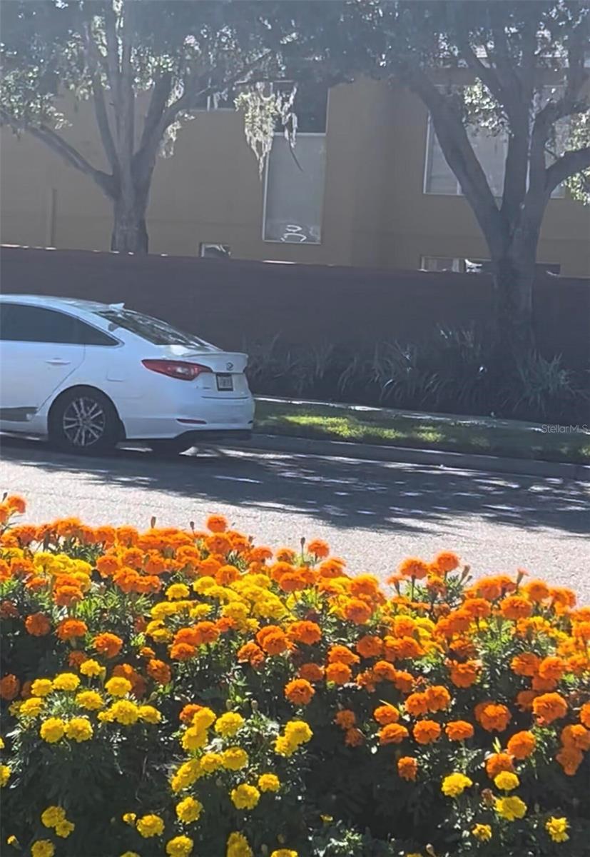 10508 BARNSTABLE CT, TAMPA, FL, 33626