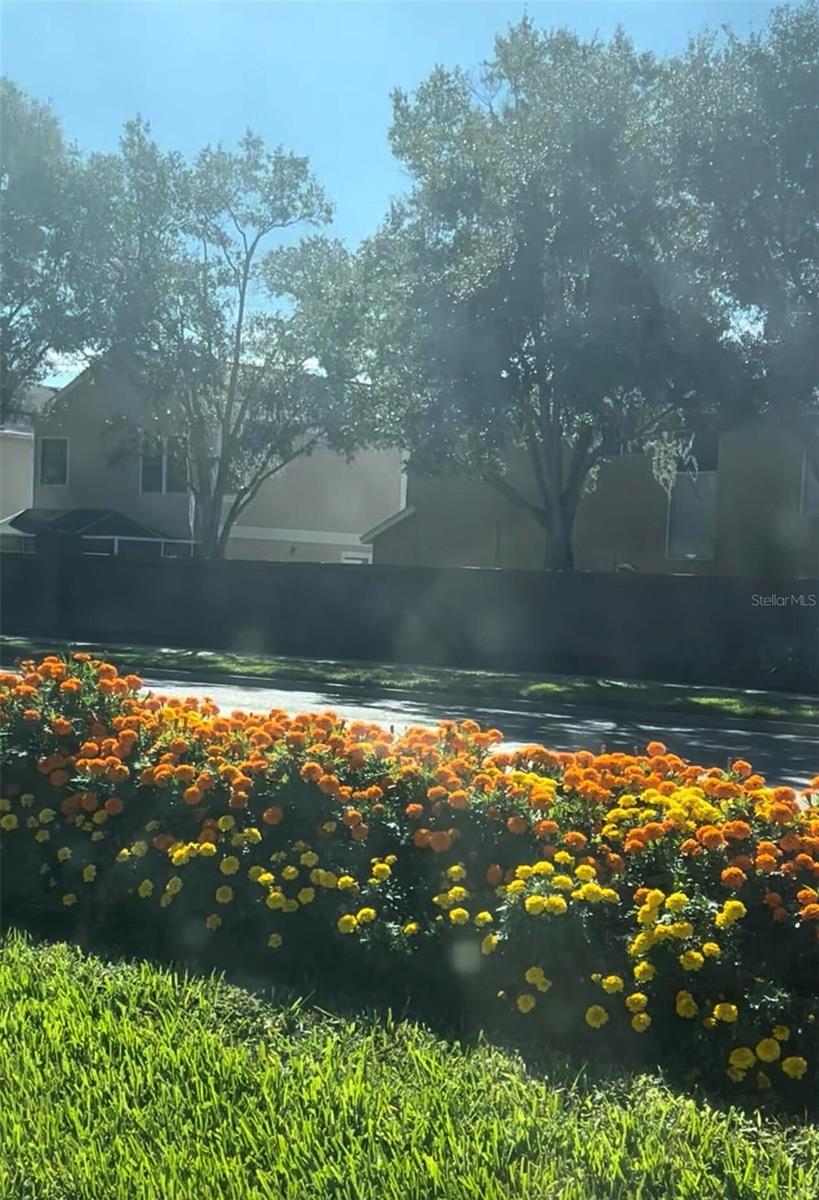 10508 BARNSTABLE CT, TAMPA, FL, 33626