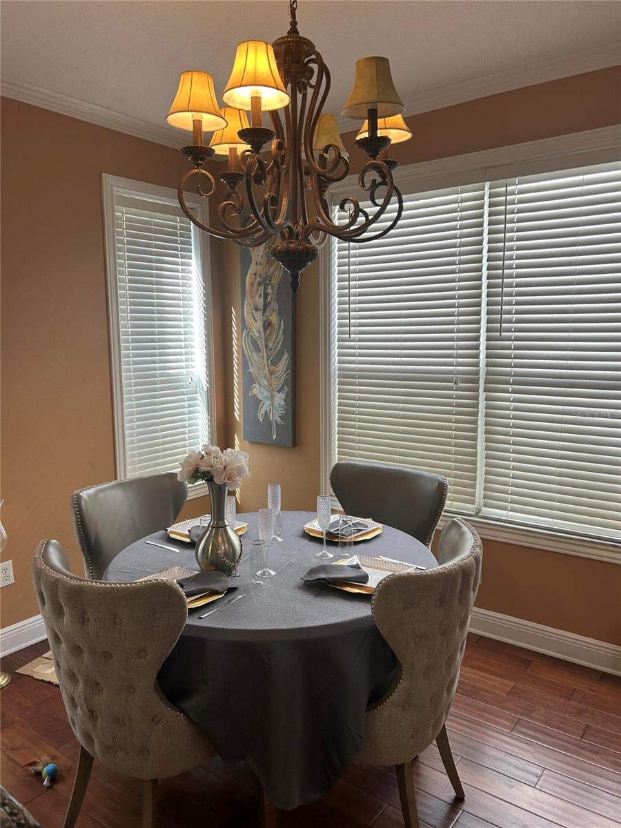 10508 BARNSTABLE CT, TAMPA, FL, 33626