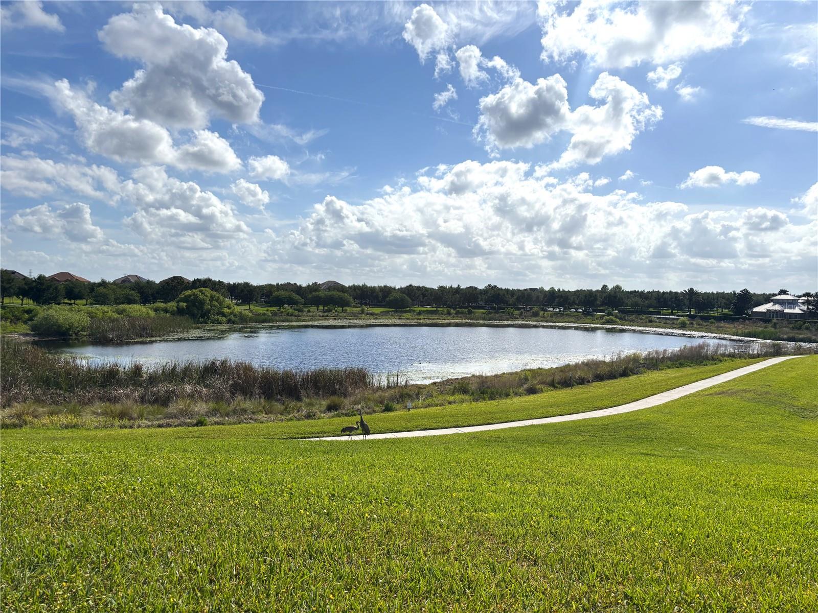 8056 JOHN HANCOCK DR, WINTER GARDEN, FL, 34787