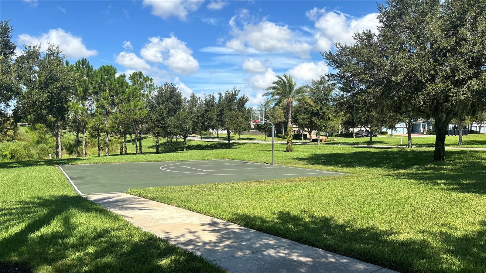 8056 JOHN HANCOCK DR, WINTER GARDEN, FL, 34787