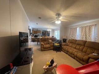 14050 SE 20 ST, MORRISTON, FL, 32668