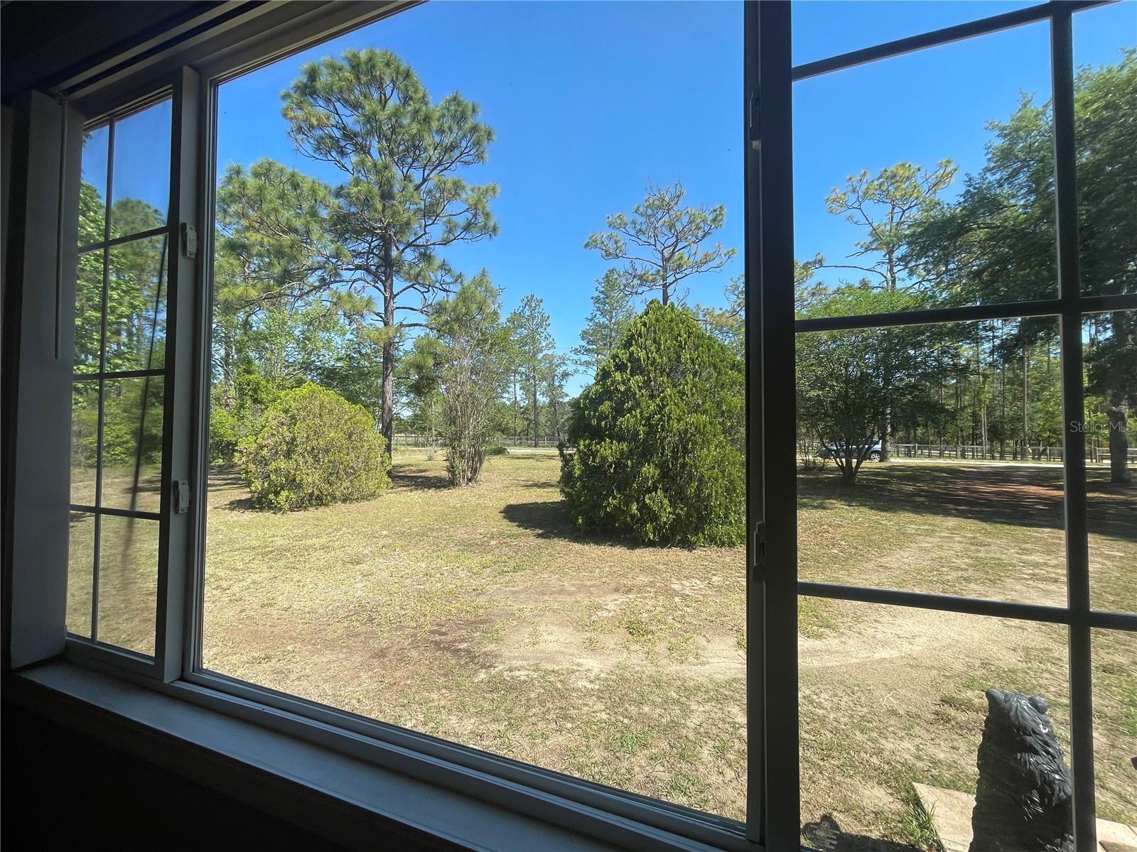 14050 SE 20 ST, MORRISTON, FL, 32668
