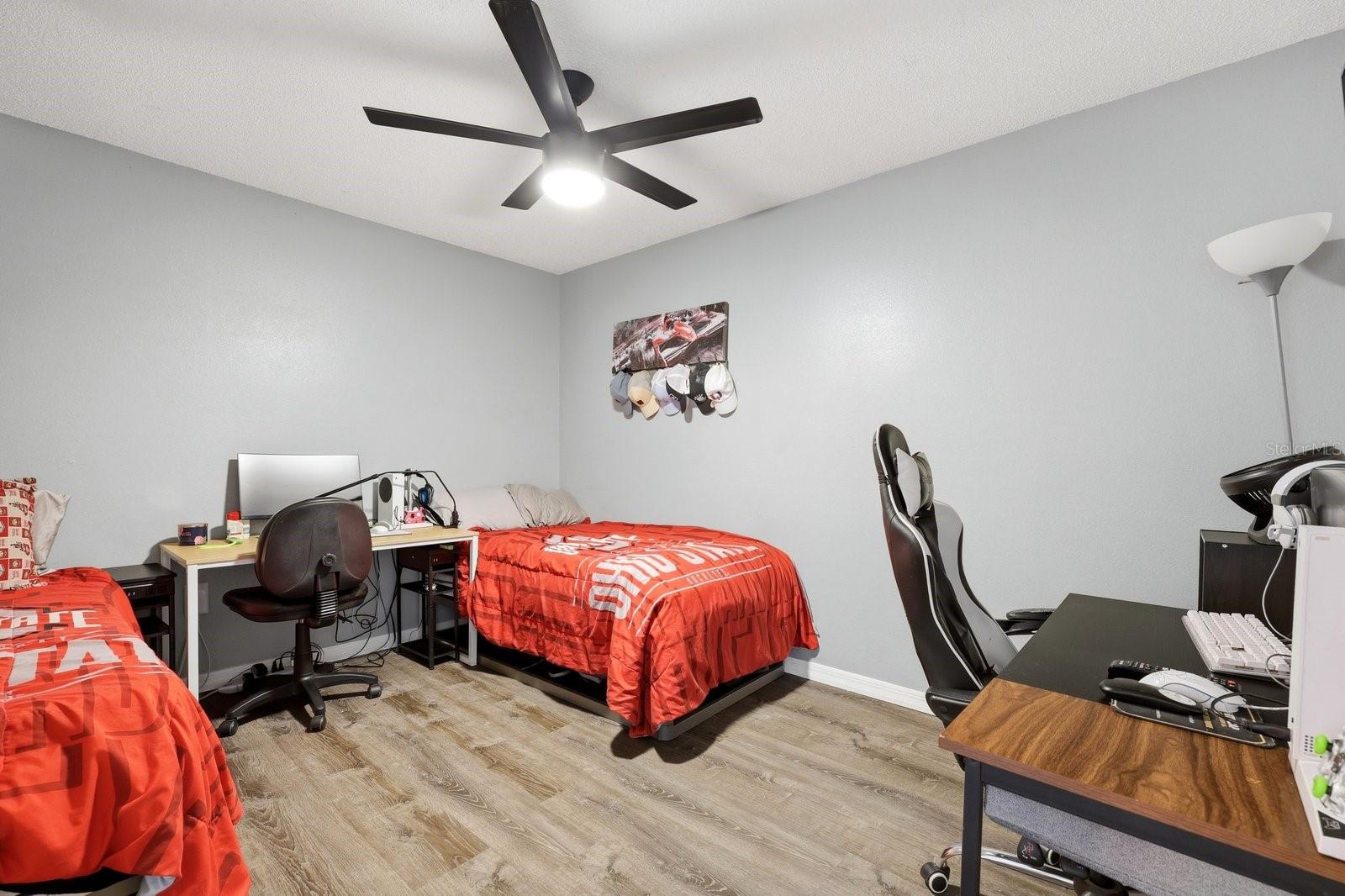 221 ARBOR DR W, PALM HARBOR, FL, 34683