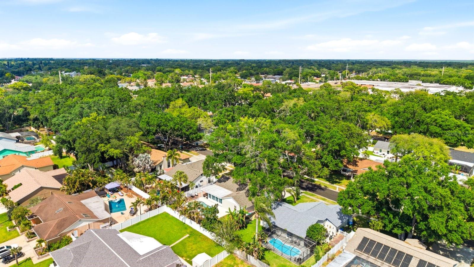 221 ARBOR DR W, PALM HARBOR, FL, 34683