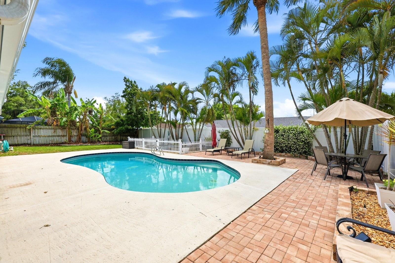 221 ARBOR DR W, PALM HARBOR, FL, 34683