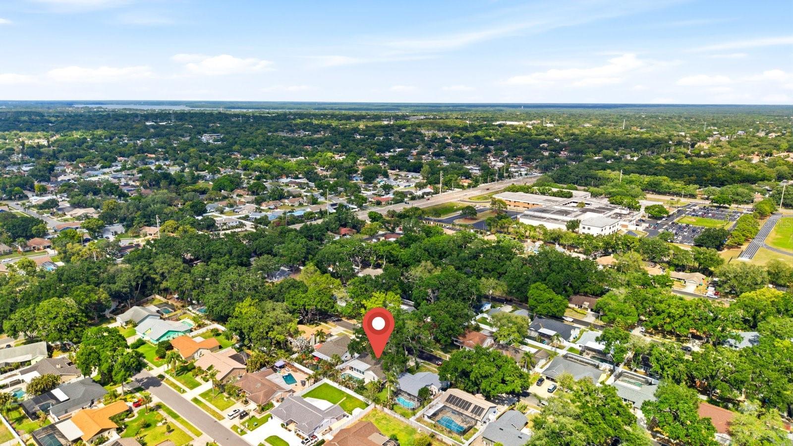 221 ARBOR DR W, PALM HARBOR, FL, 34683