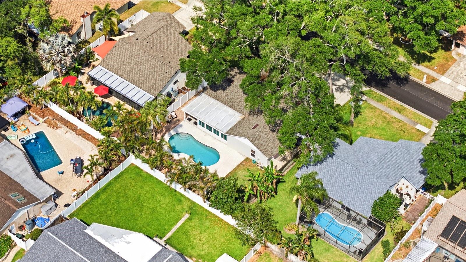 221 ARBOR DR W, PALM HARBOR, FL, 34683