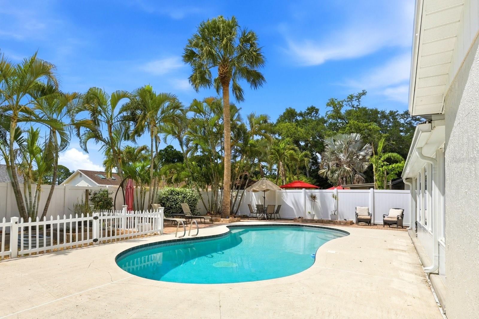 221 ARBOR DR W, PALM HARBOR, FL, 34683