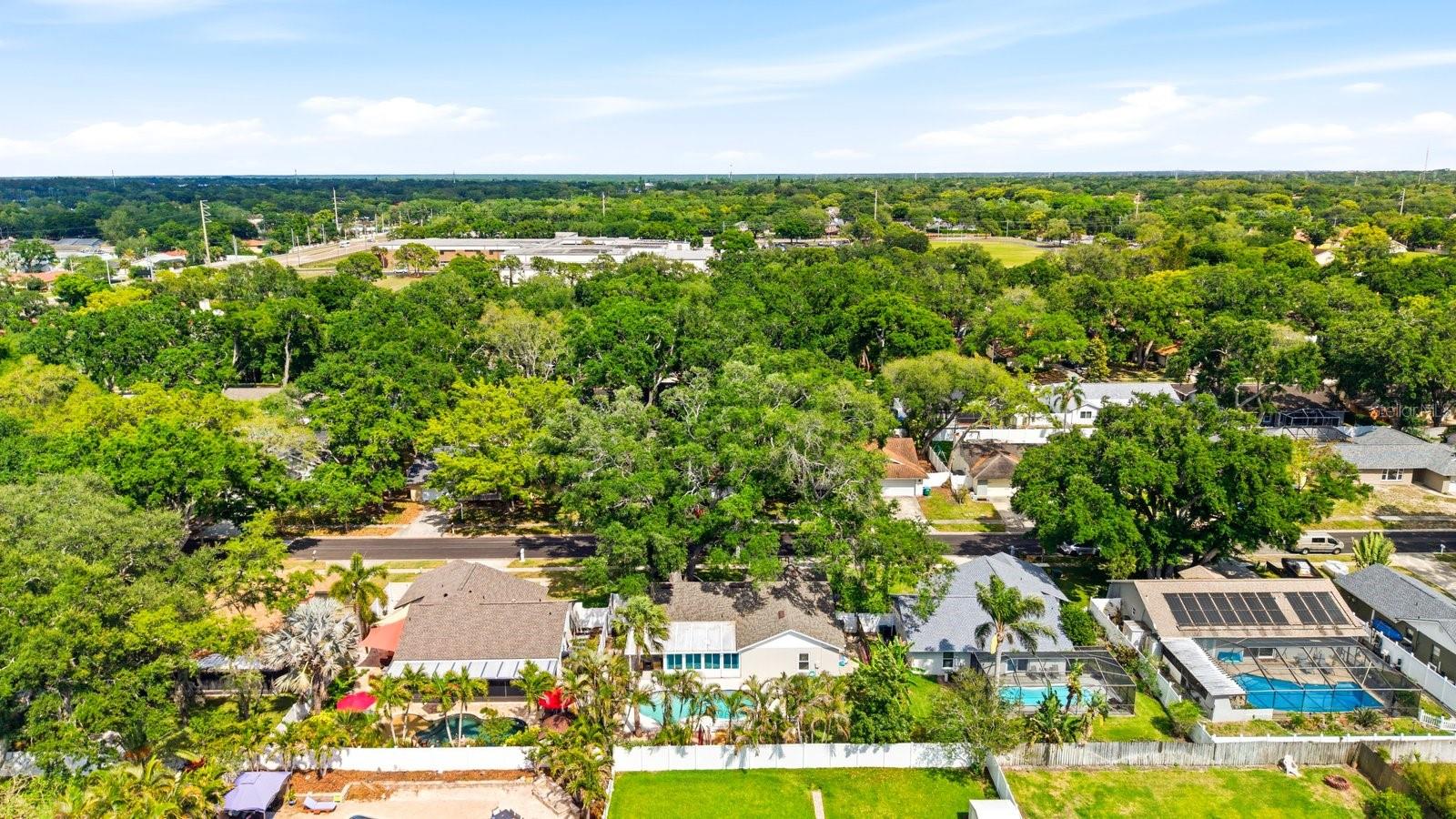 221 ARBOR DR W, PALM HARBOR, FL, 34683