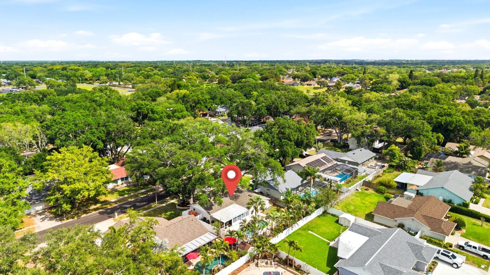 221 ARBOR DR W, PALM HARBOR, FL, 34683