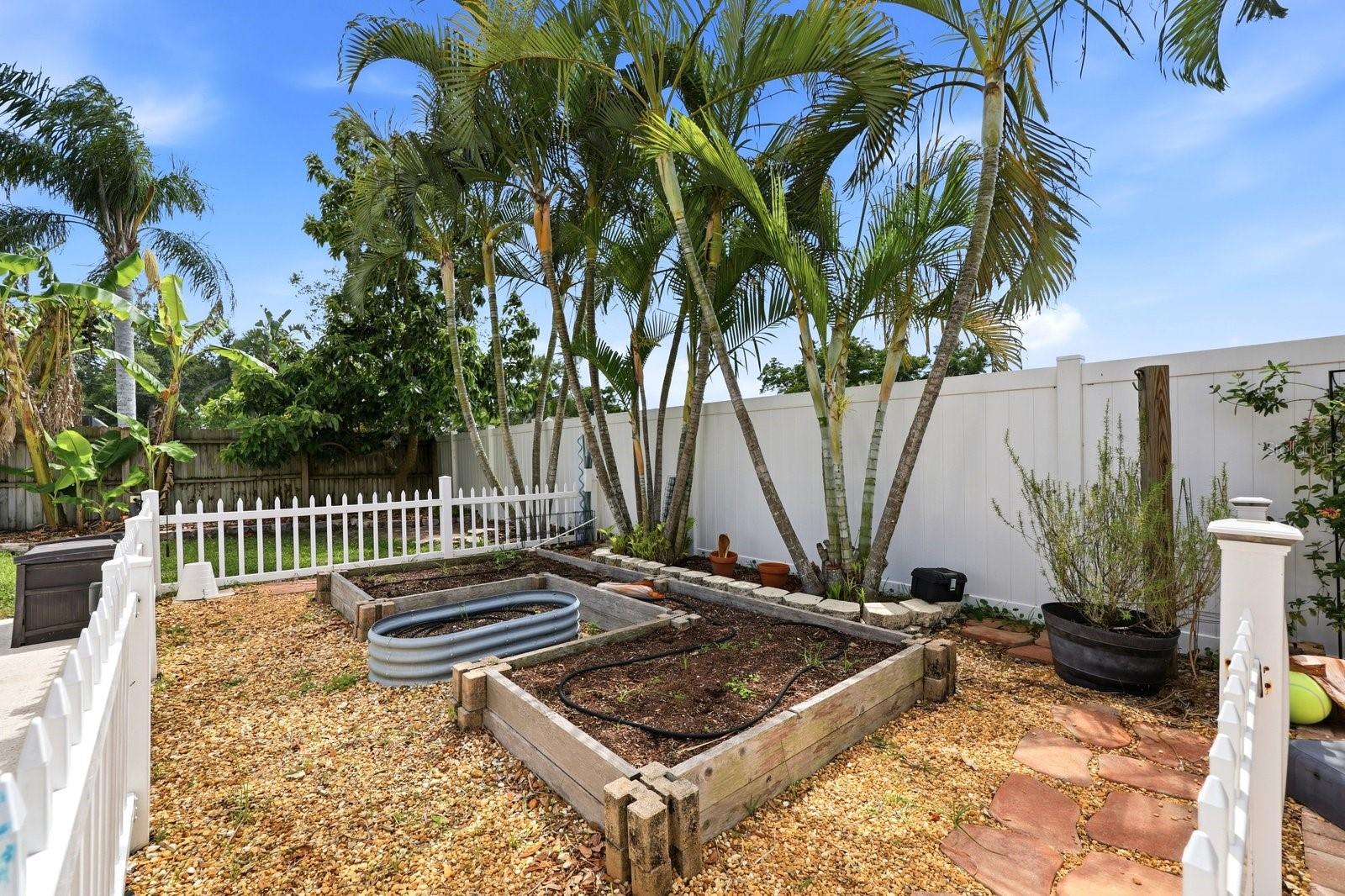 221 ARBOR DR W, PALM HARBOR, FL, 34683