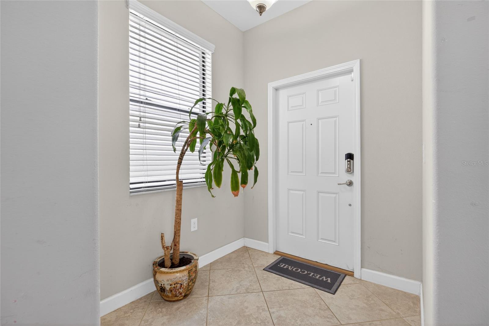 28622 TRANQUIL LAKE CIR, WESLEY CHAPEL, FL, 33543