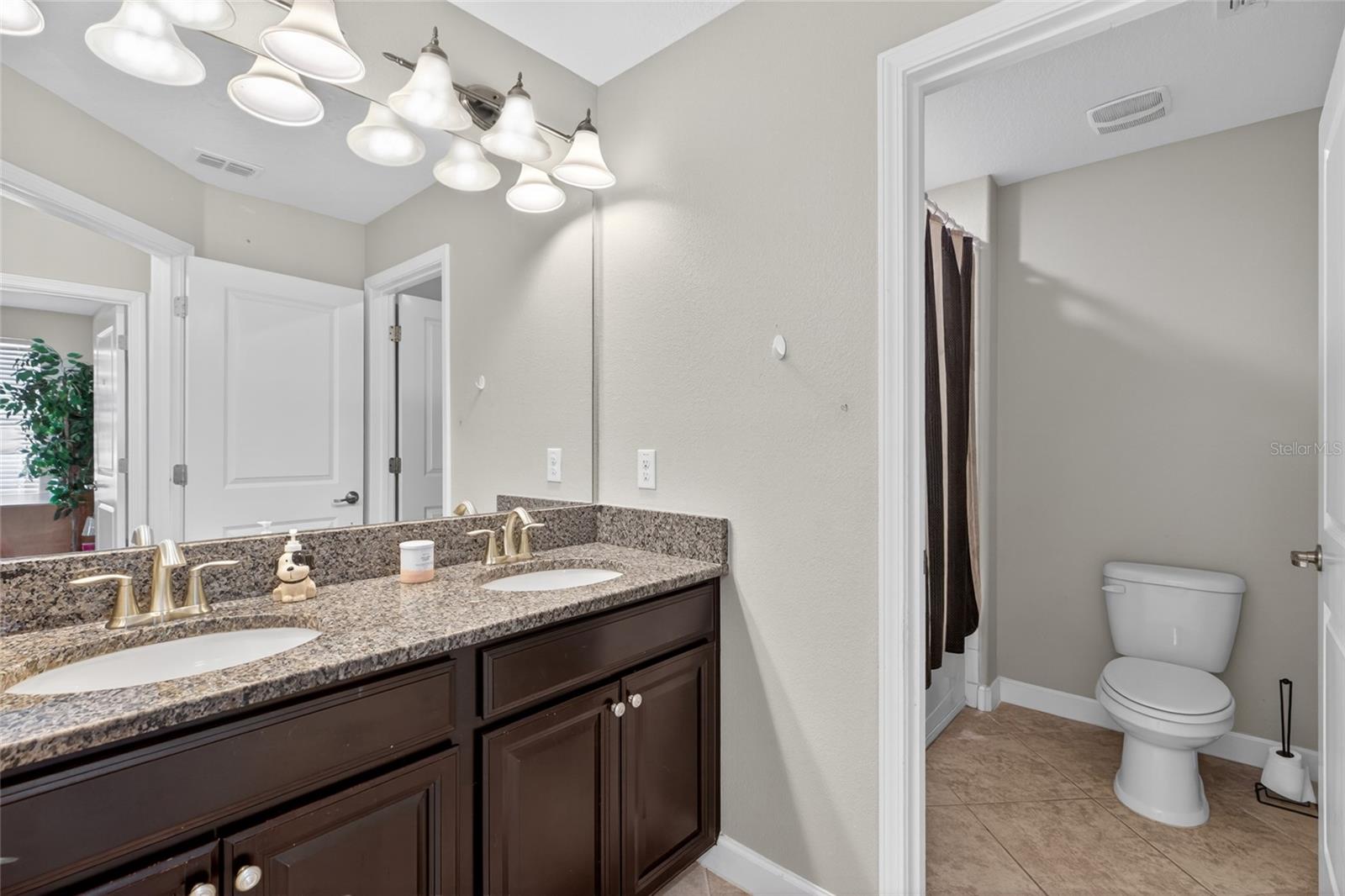 28622 TRANQUIL LAKE CIR, WESLEY CHAPEL, FL, 33543