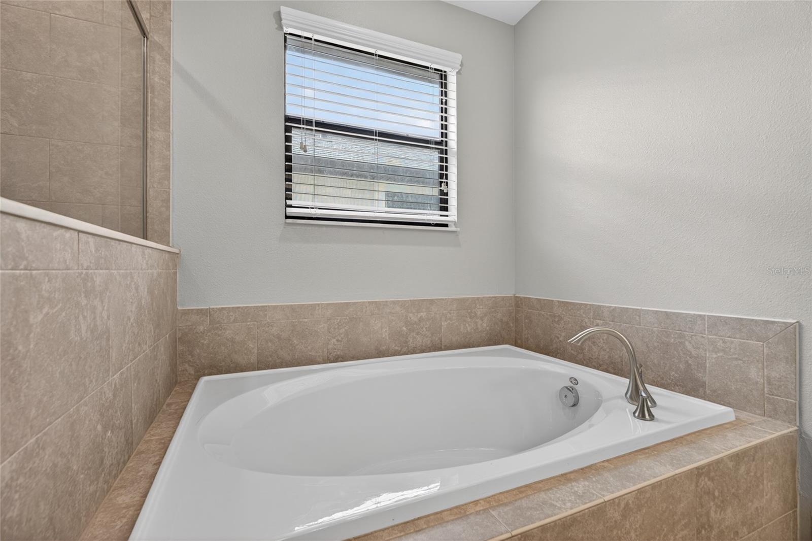 28622 TRANQUIL LAKE CIR, WESLEY CHAPEL, FL, 33543