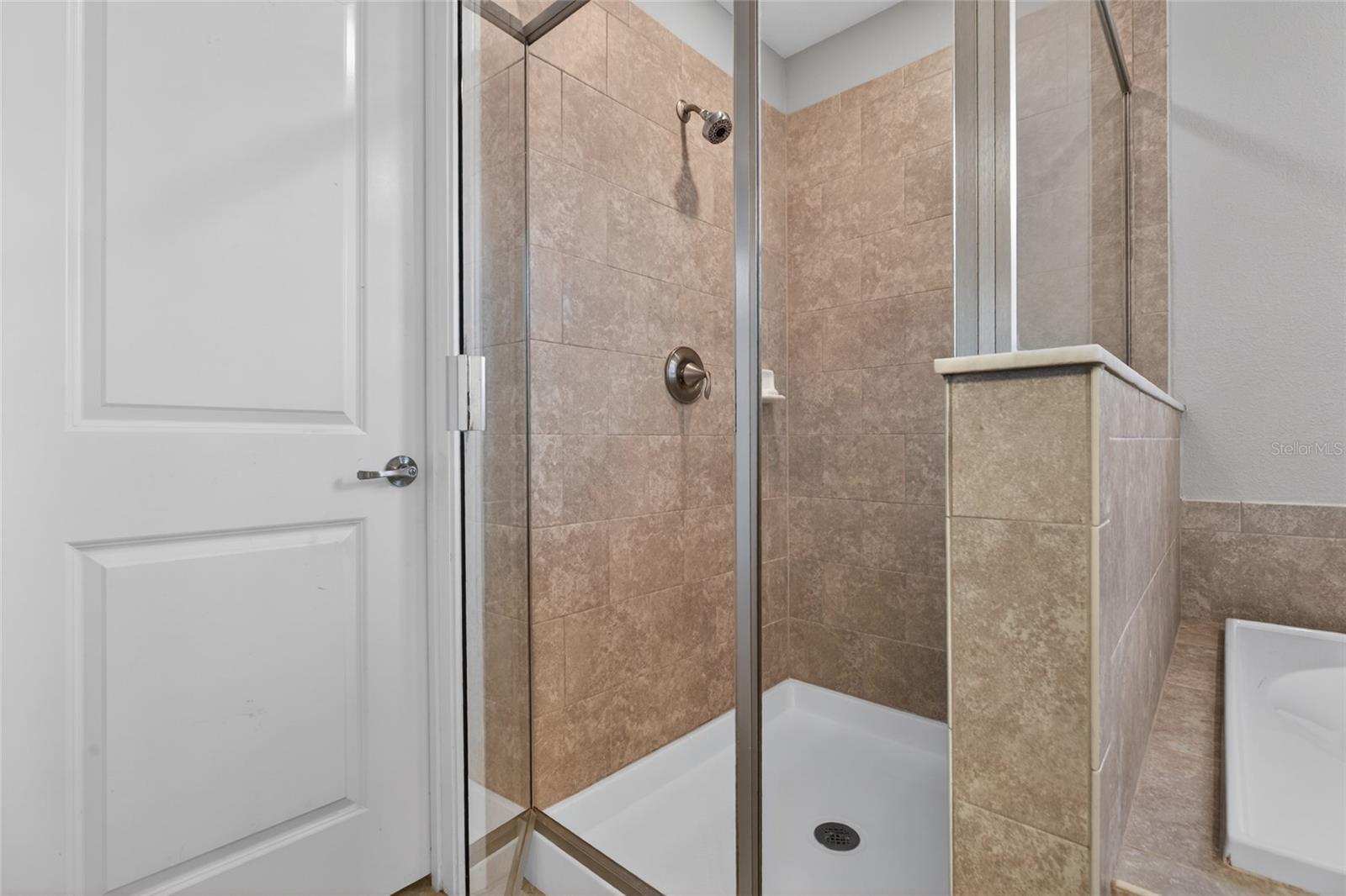 28622 TRANQUIL LAKE CIR, WESLEY CHAPEL, FL, 33543