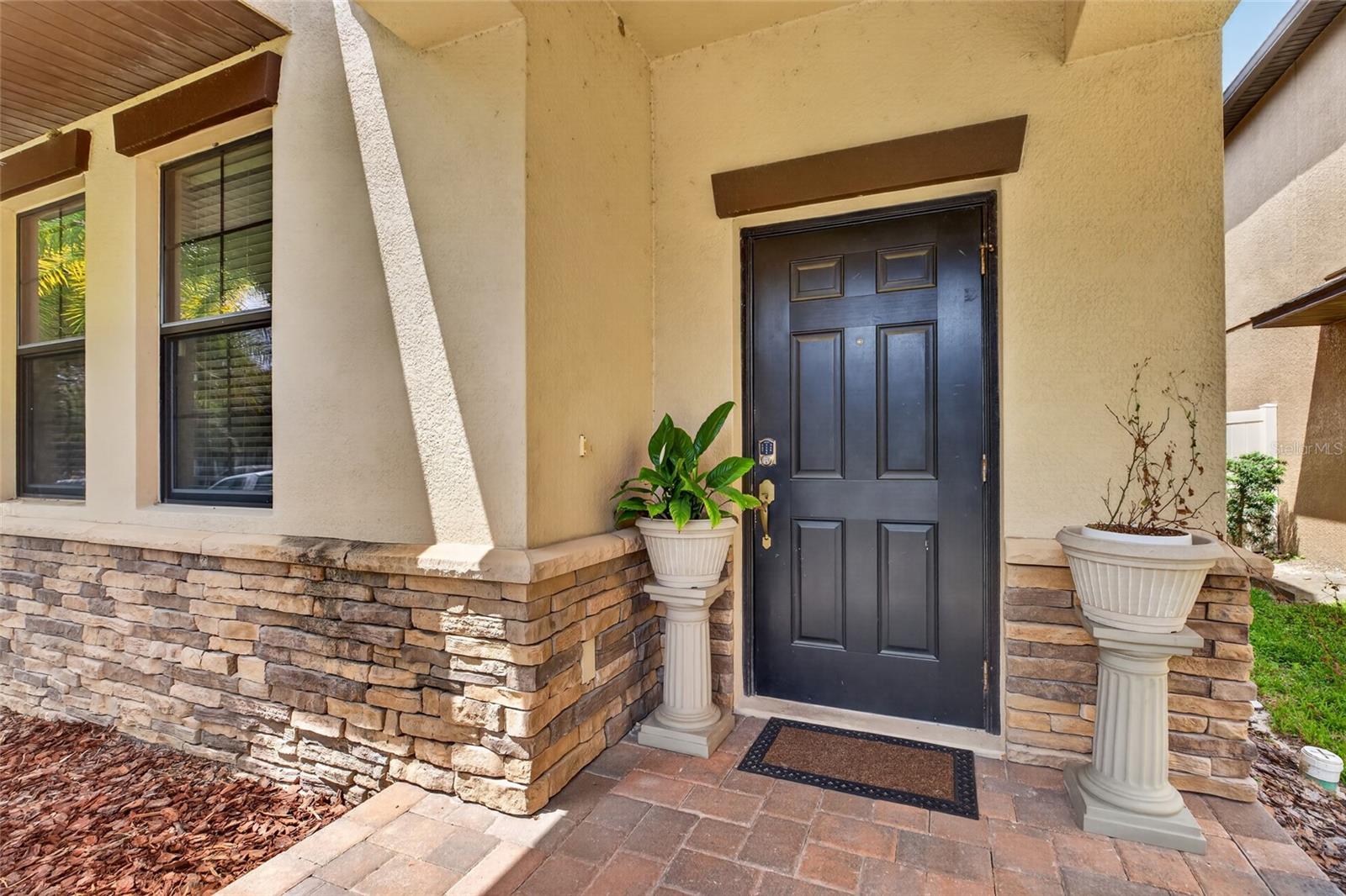 28622 TRANQUIL LAKE CIR, WESLEY CHAPEL, FL, 33543