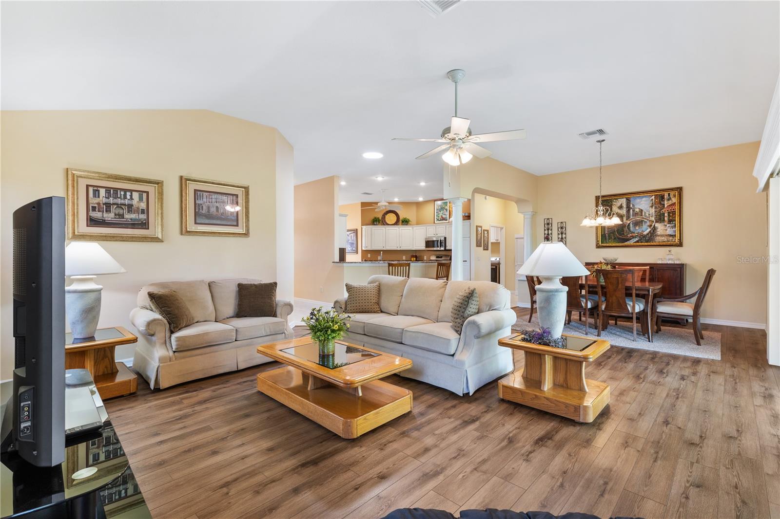 16967 SE 84TH COLERAIN CIR, THE VILLAGES, FL, 32162