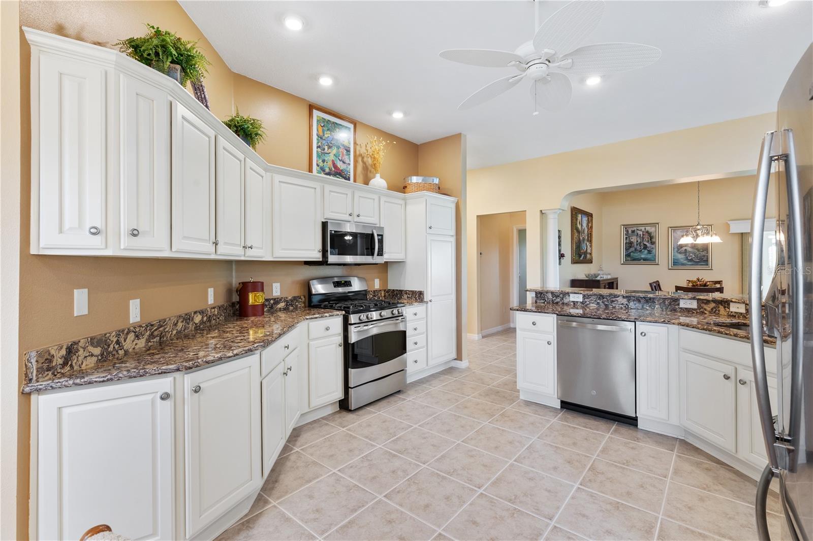 16967 SE 84TH COLERAIN CIR, THE VILLAGES, FL, 32162