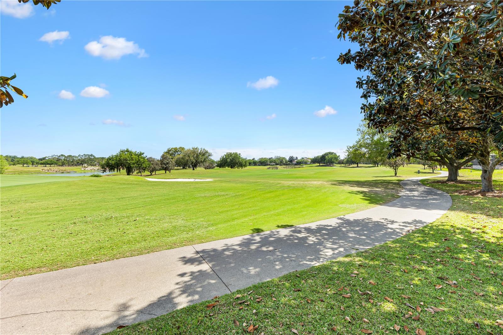 16967 SE 84TH COLERAIN CIR, THE VILLAGES, FL, 32162