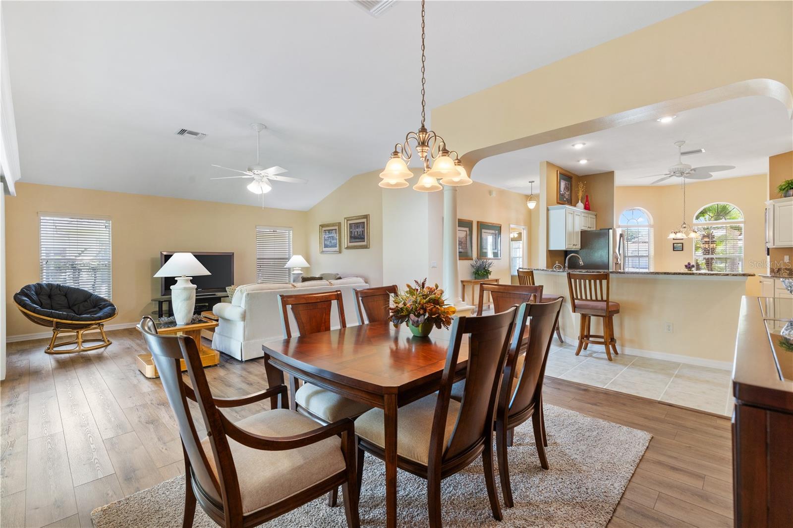 16967 SE 84TH COLERAIN CIR, THE VILLAGES, FL, 32162