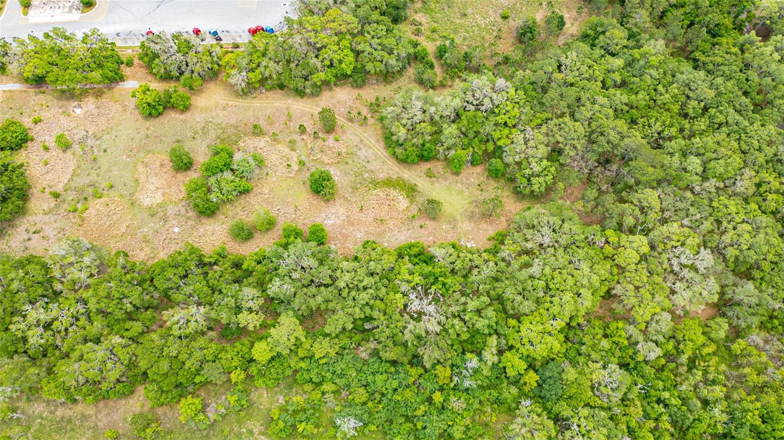 2623 W C 48, BUSHNELL, FL, 33513