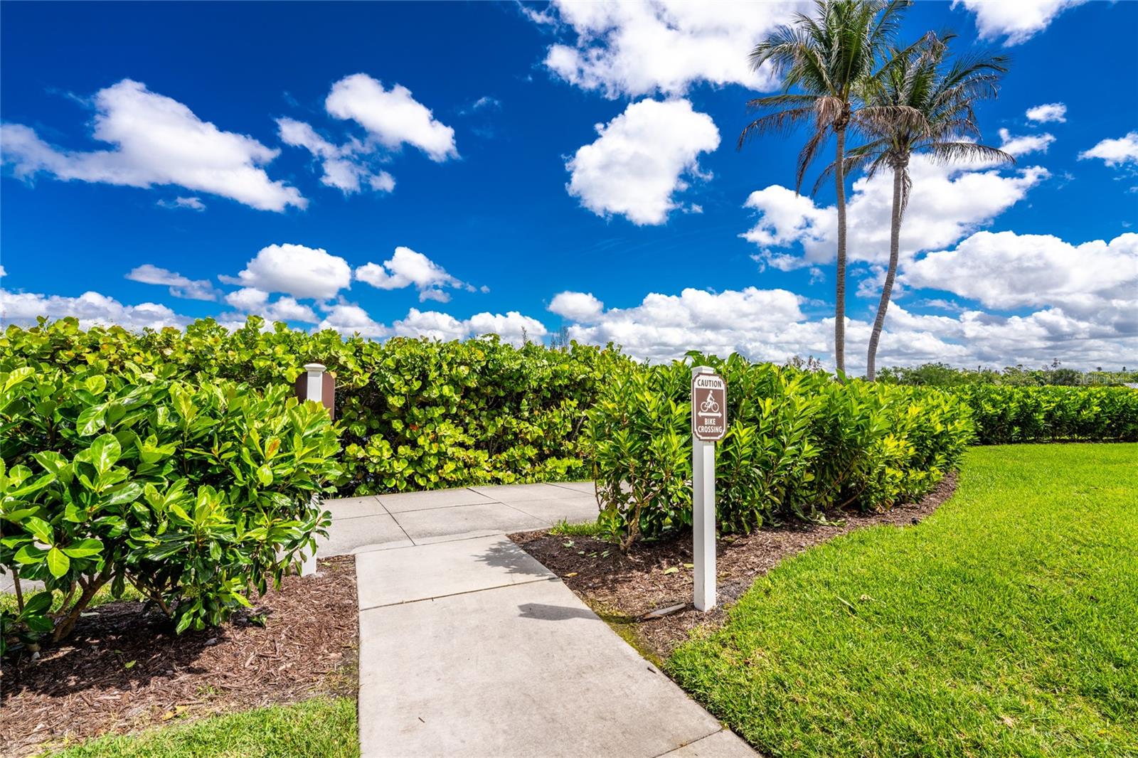 167 TAMPA AVE E #513, VENICE, FL, 34285