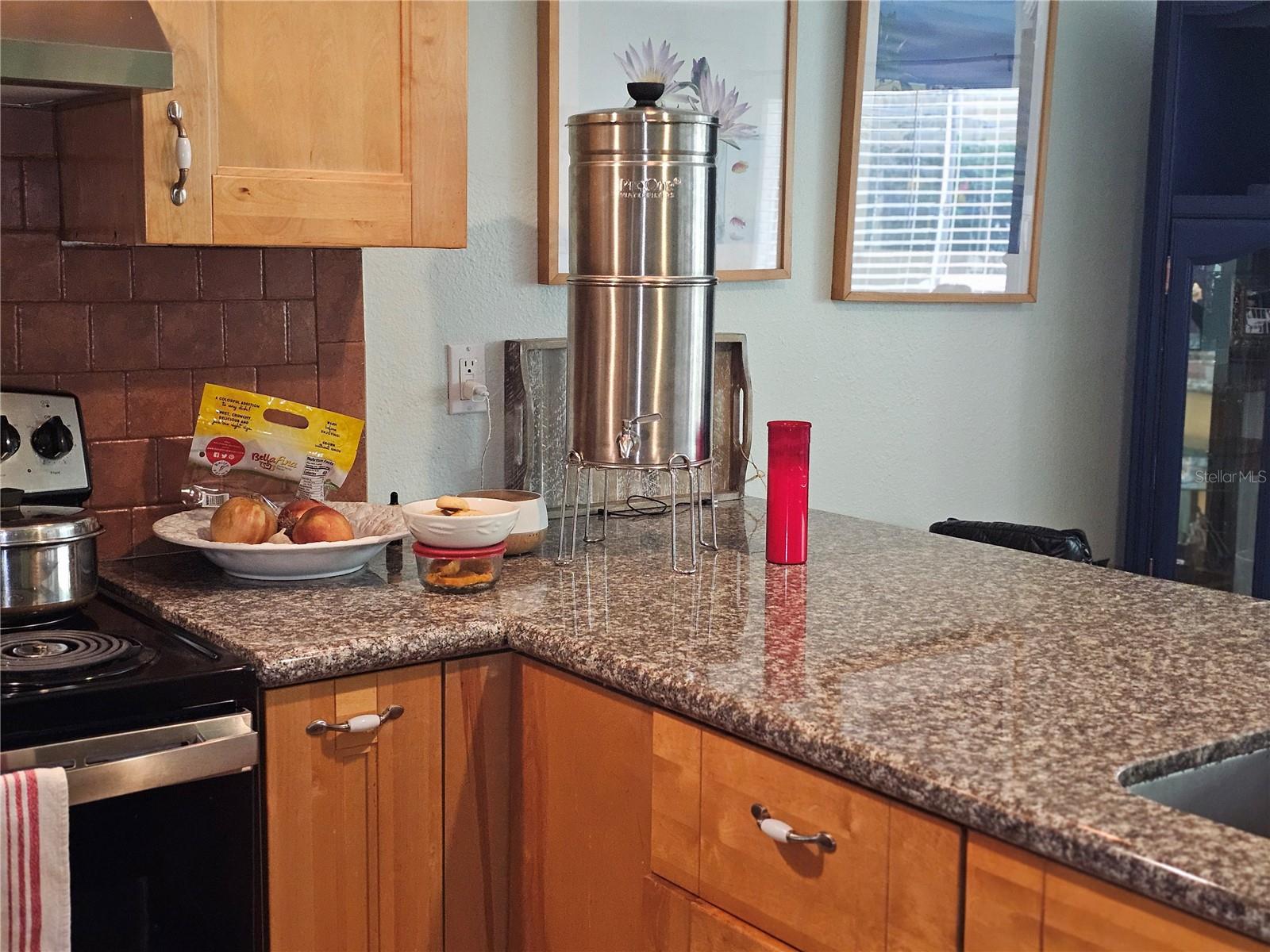 2525 W BAY DR #A13, BELLEAIR BLUFFS, FL, 33770