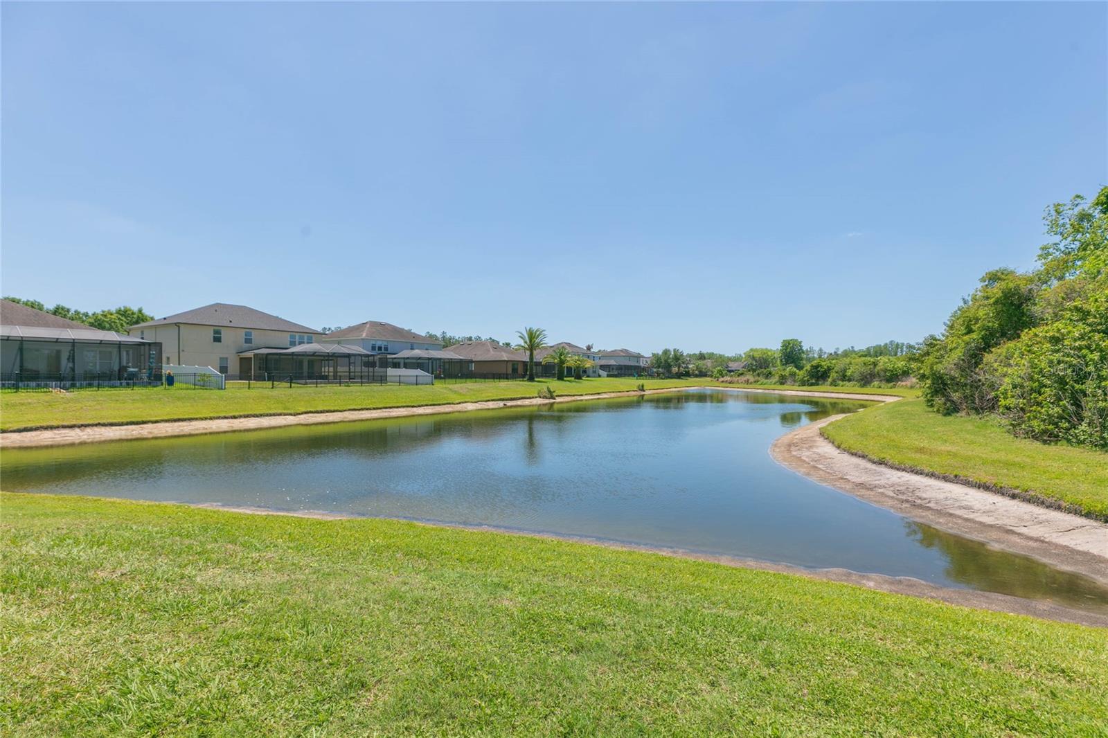 5397 ANGELONIA TER, LAND O LAKES, FL, 34639