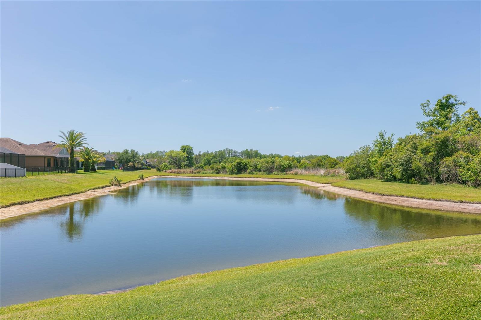 5397 ANGELONIA TER, LAND O LAKES, FL, 34639