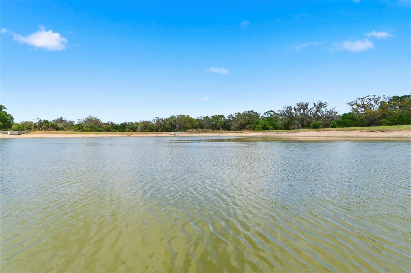 12611 LEMON PEPPER DR, RIVERVIEW, FL, 33578