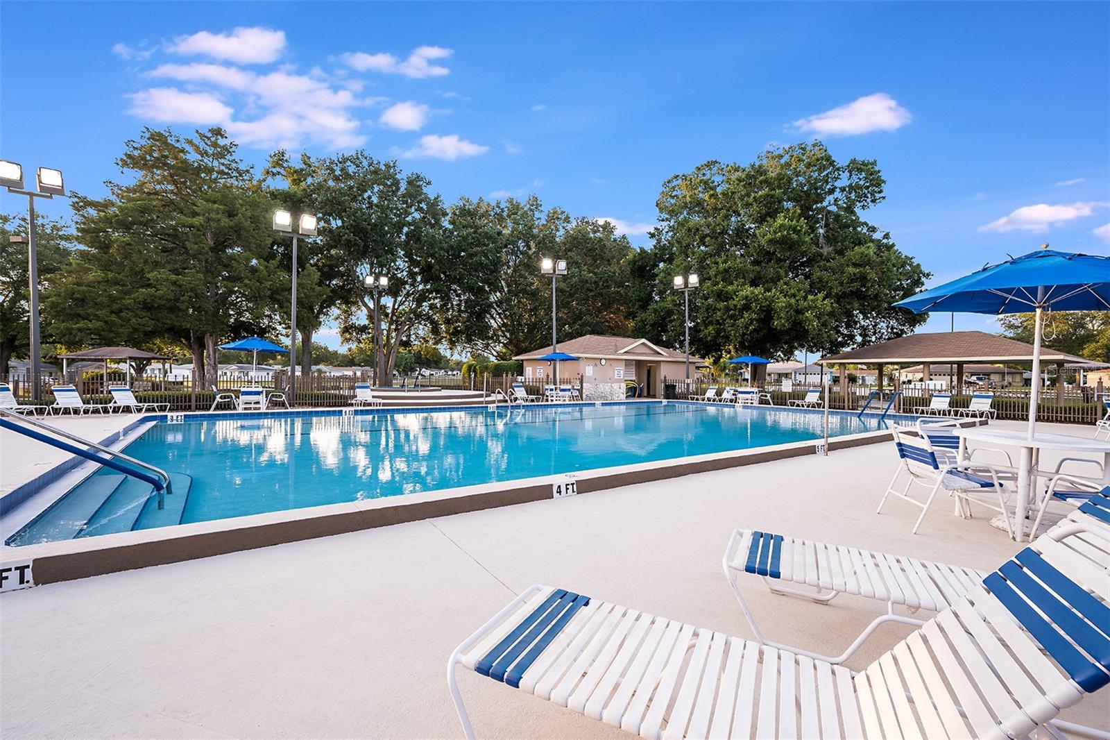 6145 SW 97TH ST, OCALA, FL, 34476