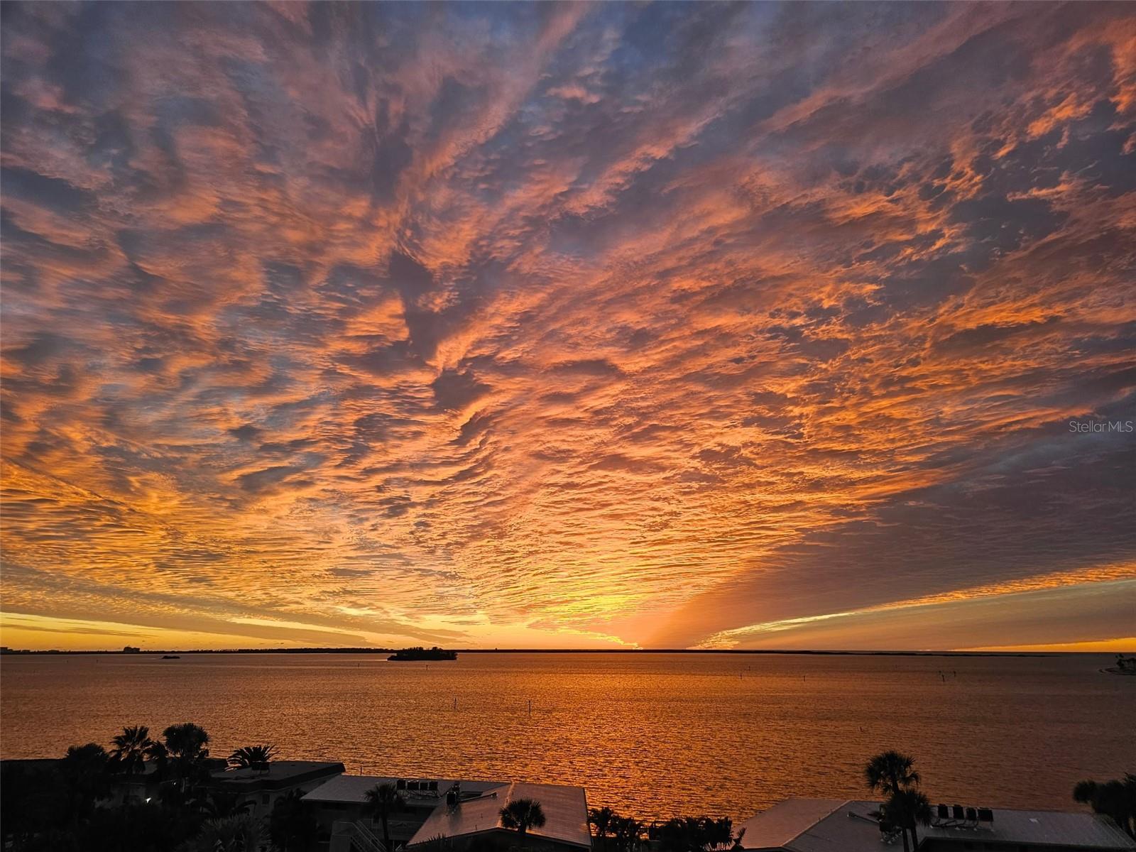 2530 GARY CIR #802, DUNEDIN, FL, 34698