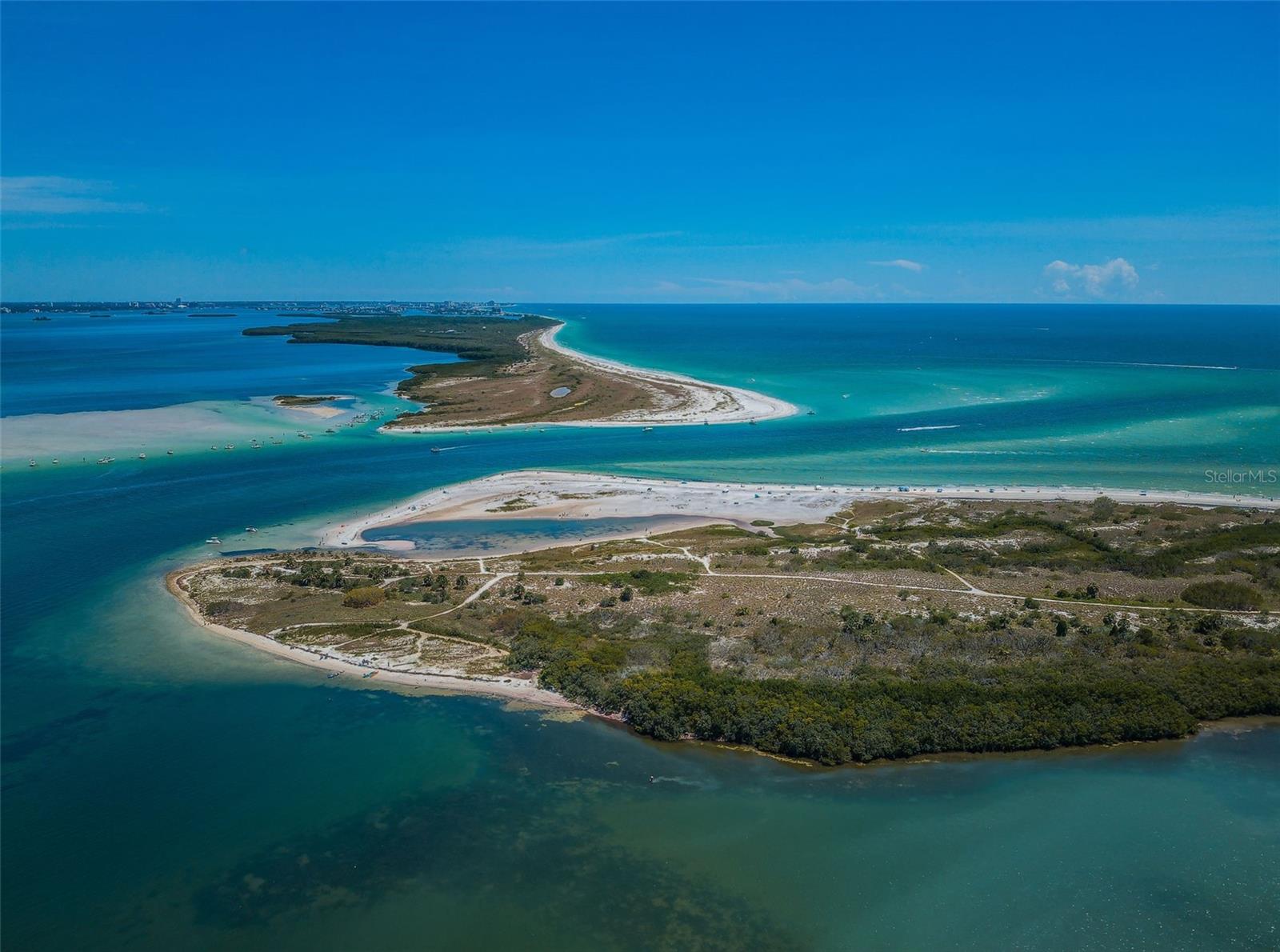 2530 GARY CIR #802, DUNEDIN, FL, 34698