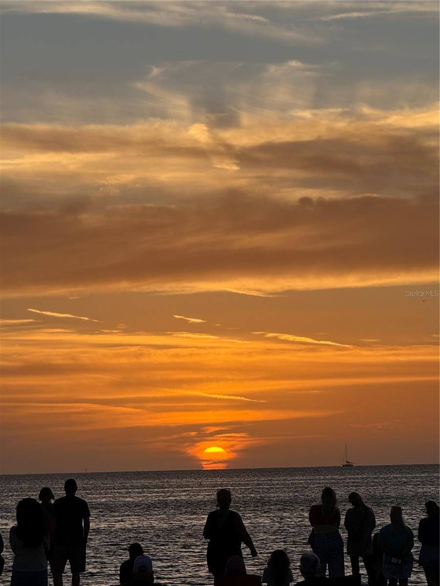 2530 GARY CIR #802, DUNEDIN, FL, 34698