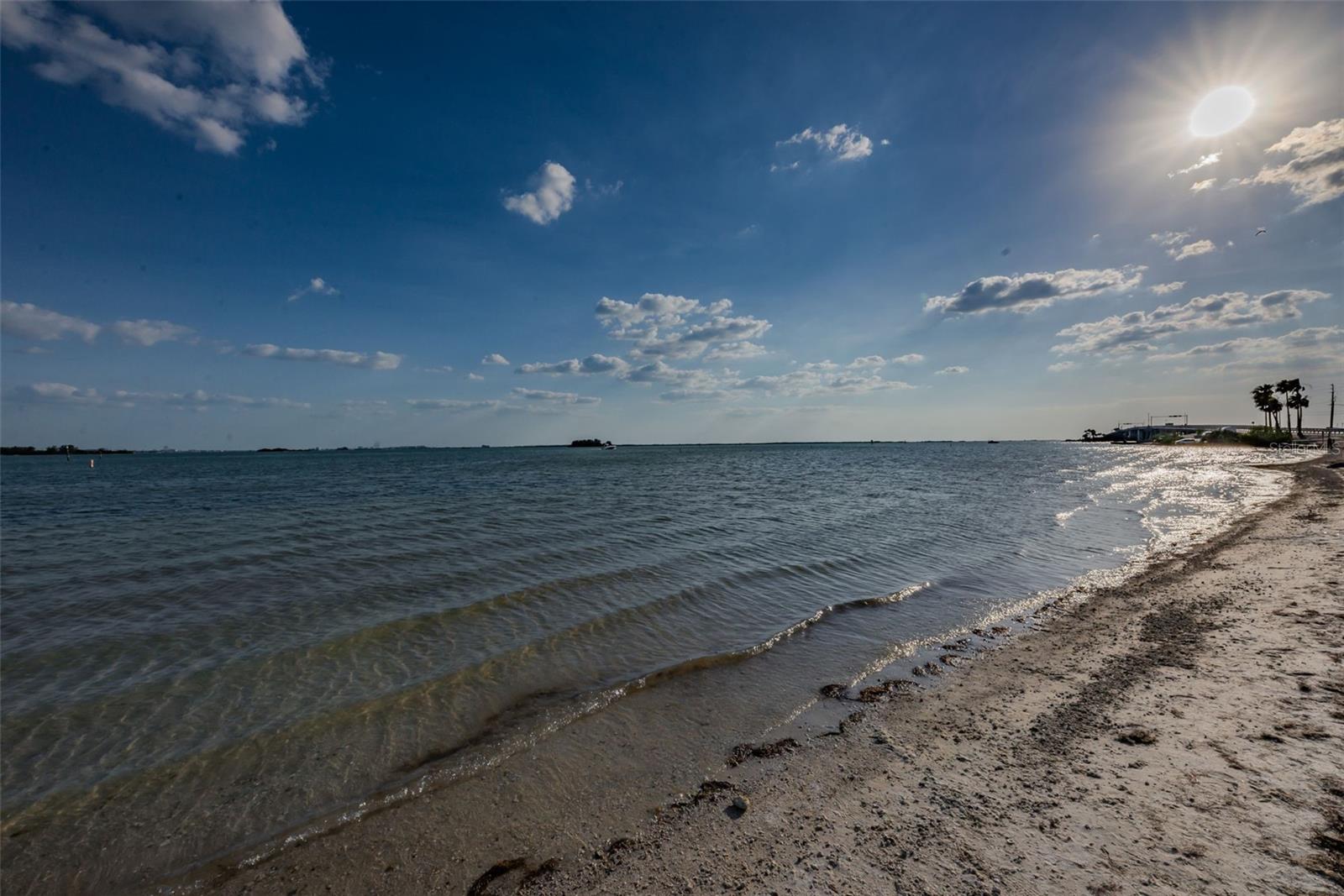 2530 GARY CIR #802, DUNEDIN, FL, 34698