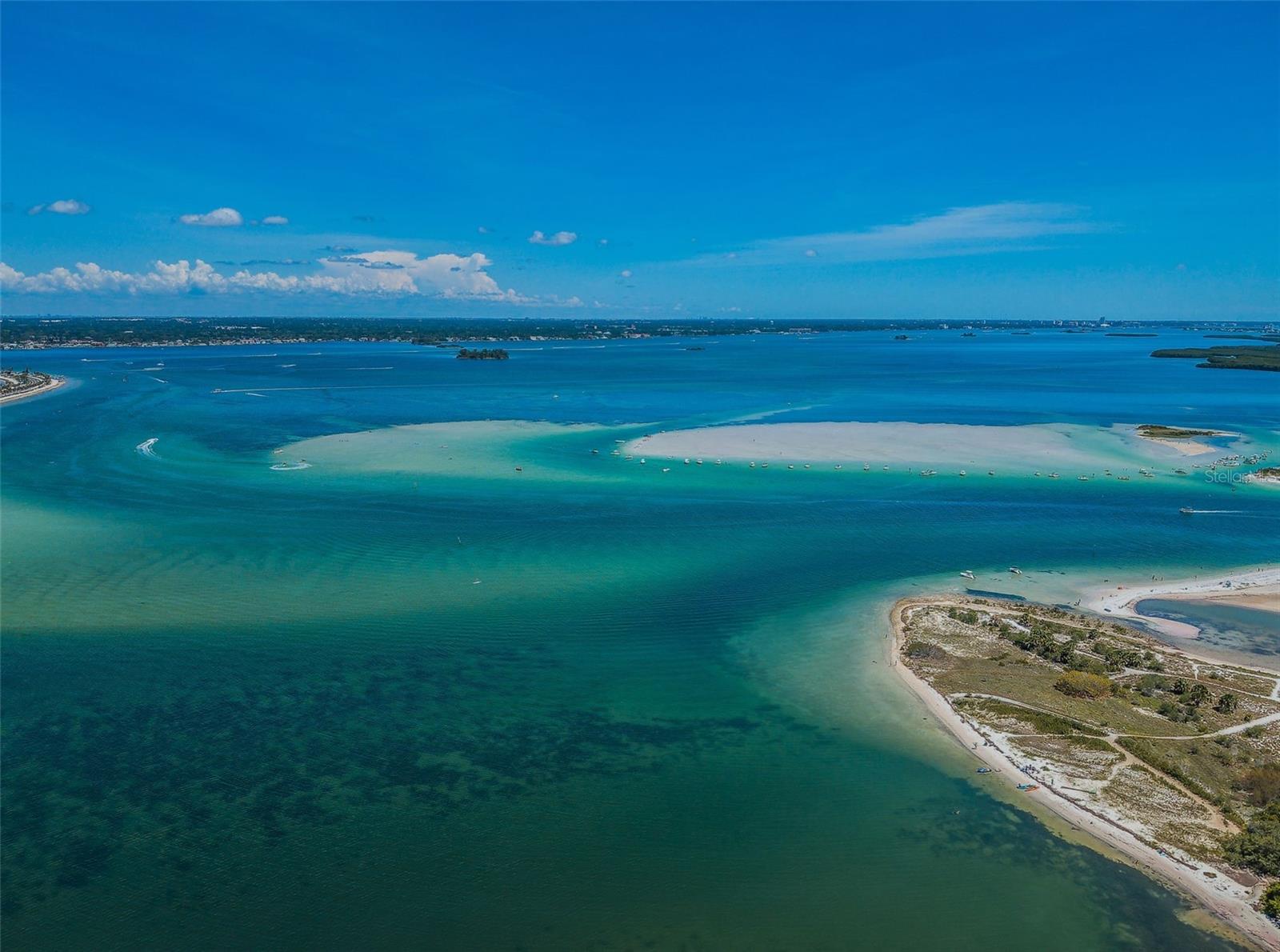 2530 GARY CIR #802, DUNEDIN, FL, 34698