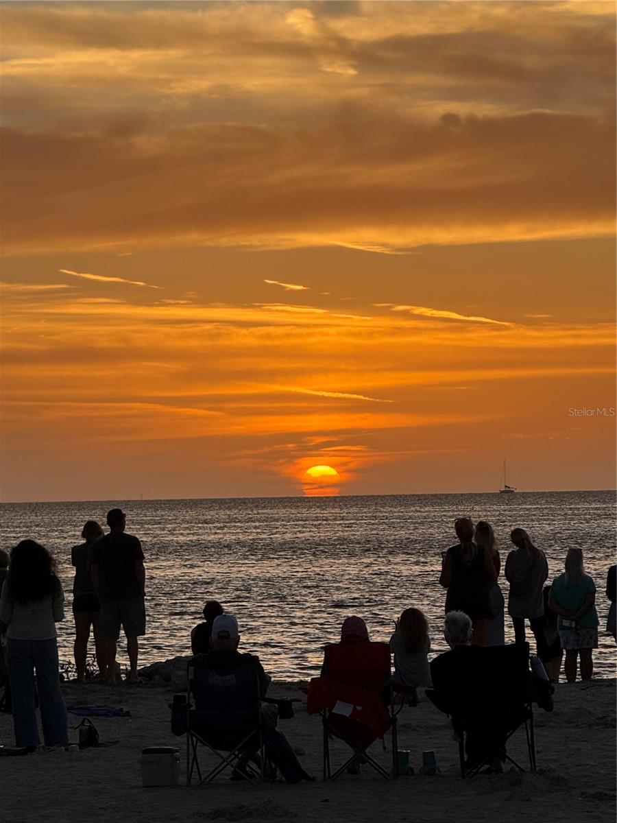 2530 GARY CIR #802, DUNEDIN, FL, 34698