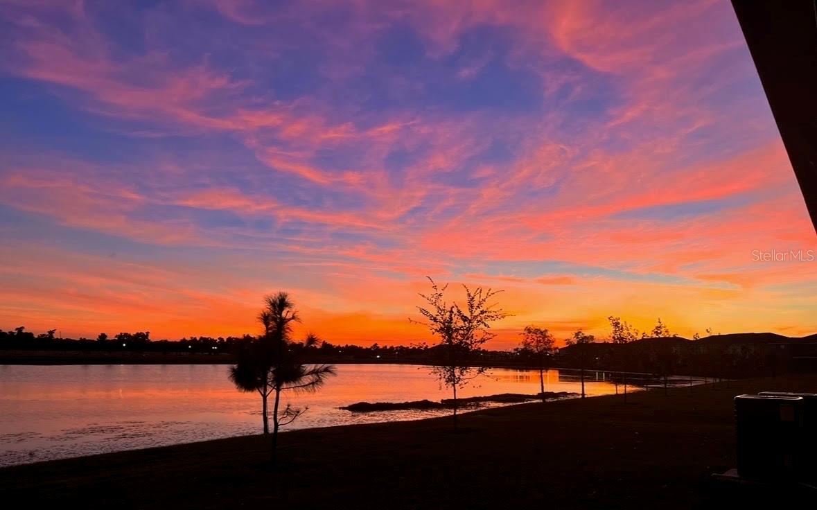 263 MANGROVE SHADE CIR, APOLLO BEACH, FL, 33572