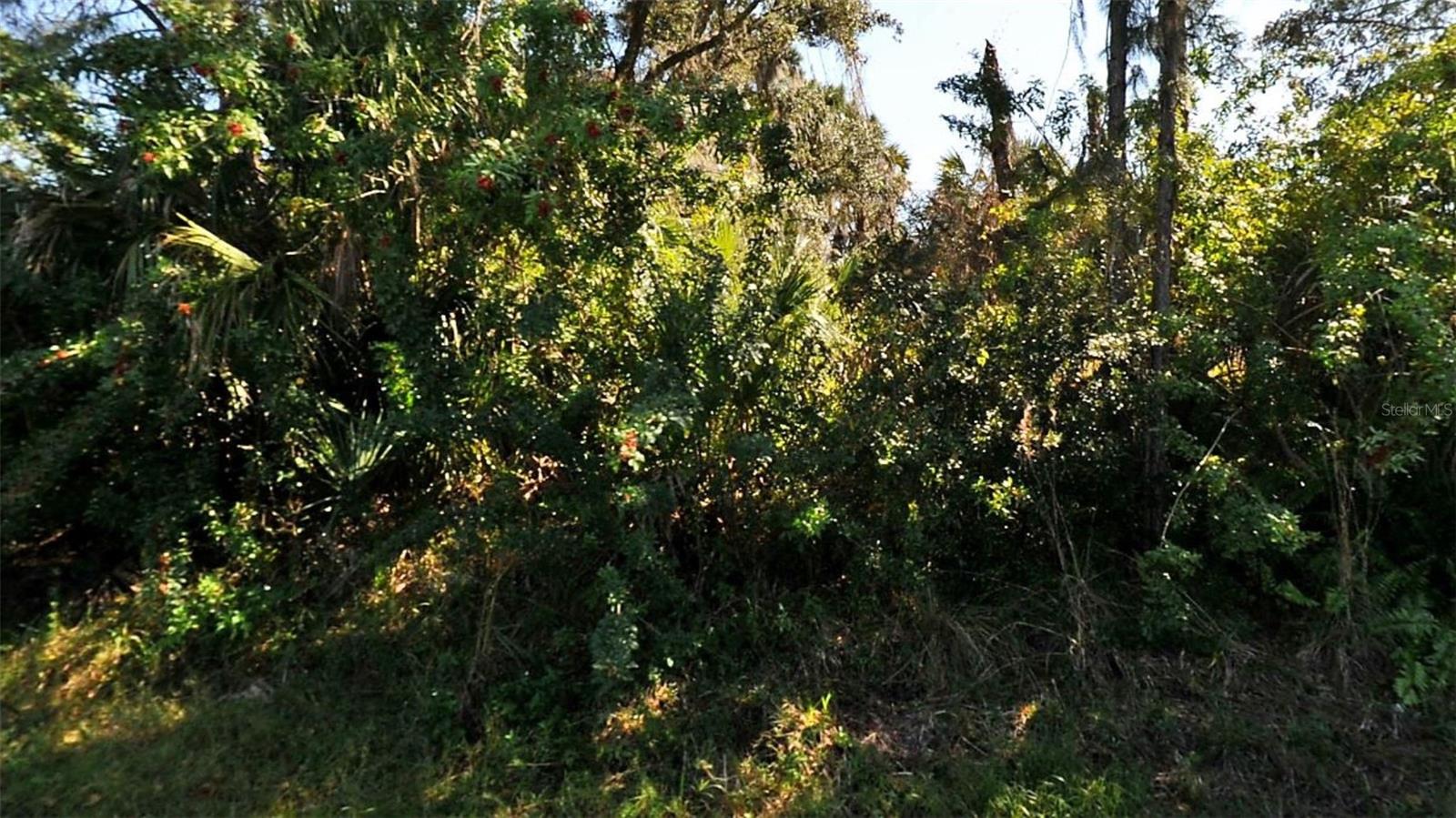 TUCSON RD, NORTH PORT, FL, 34286