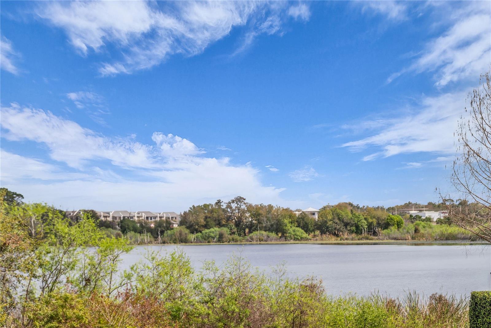 1393 BENEVOLENT ST, MAITLAND, FL, 32751