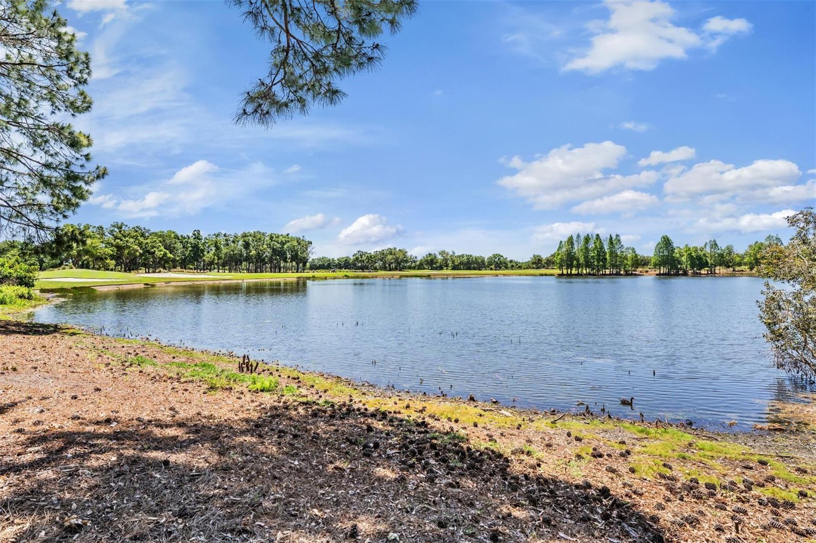 9134 TILLINGHAST DR, TAMPA, FL, 33626