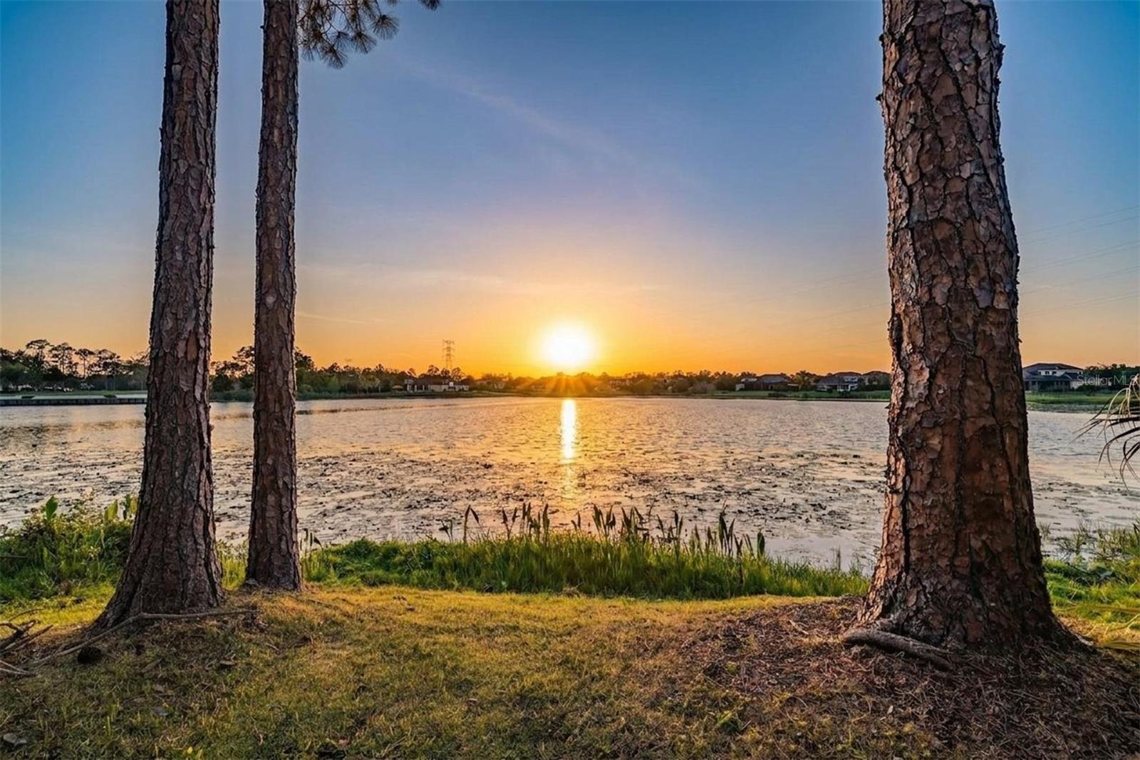 9134 TILLINGHAST DR, TAMPA, FL, 33626