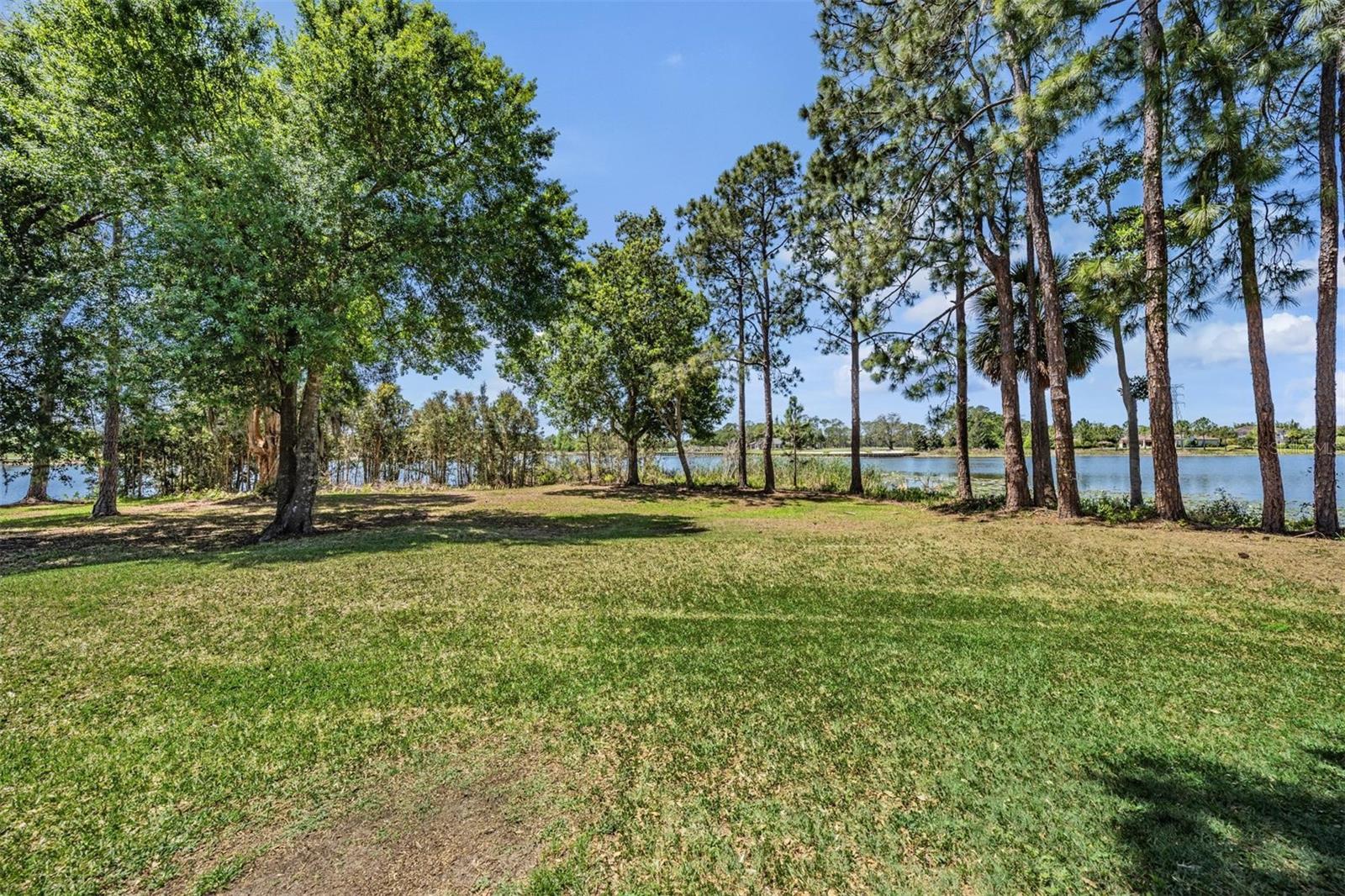 9134 TILLINGHAST DR, TAMPA, FL, 33626